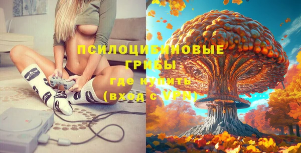 стаф Заволжье