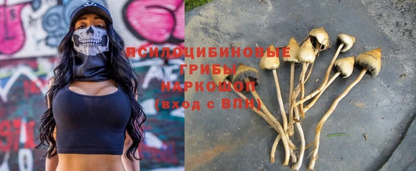 стаф Заволжье